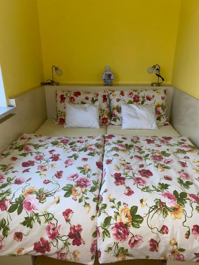 Rodinny Apartman 3+1 Horni Mesto 외부 사진